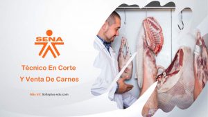 técnico en corte y venta de carnes