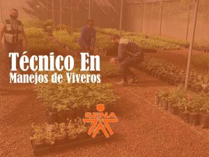 Técnico en manejo de Viveros