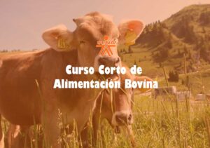Curso corto de alimentacion bovina