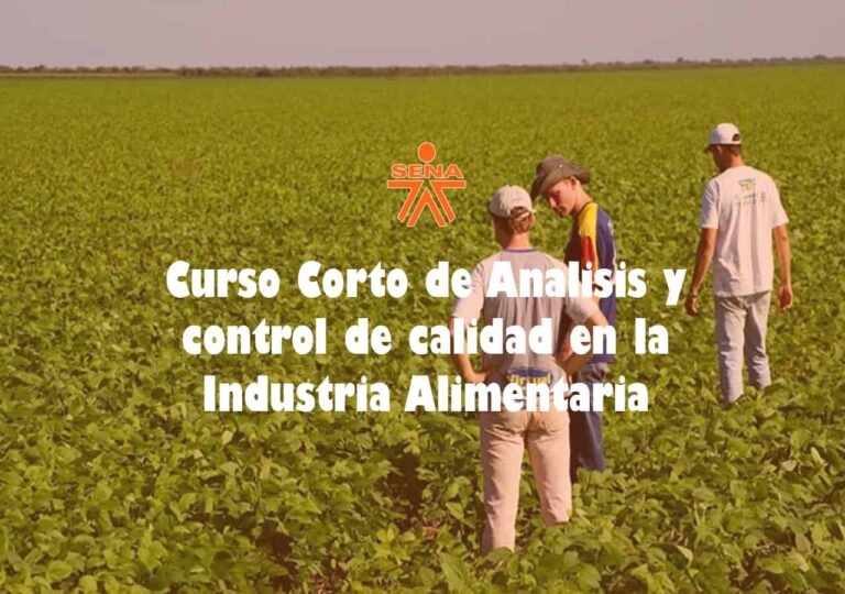 Curso Corto De Analisis Y Control De Calidad En La Industria Alimentaria